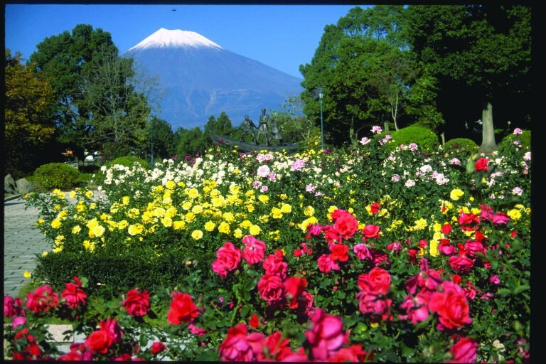 🏞️ 히로미 공원 (広見公園) 이미지 1